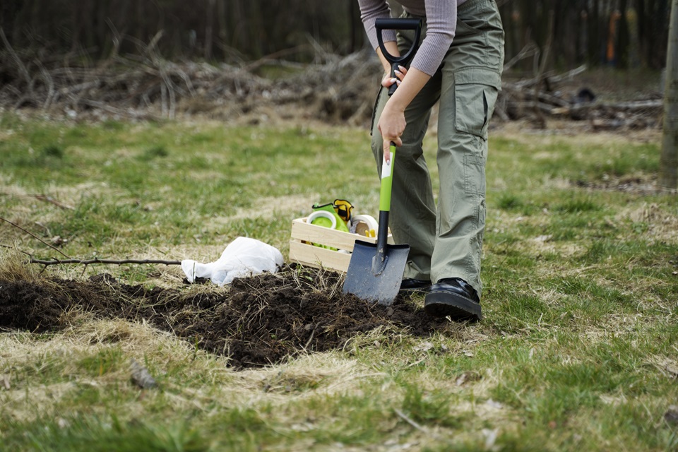 Lawn Fertilization And Mulch Installation